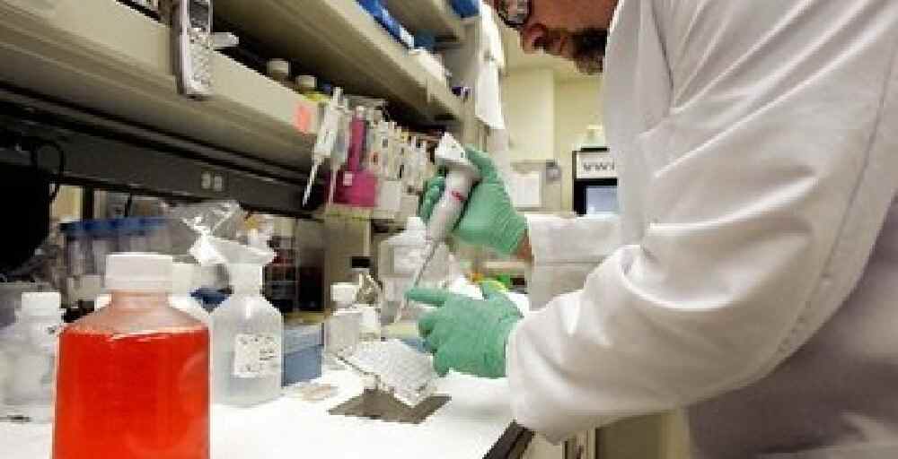 Қатерлі ісікке қарсы  препараттарын дайындайтын компания сатылады