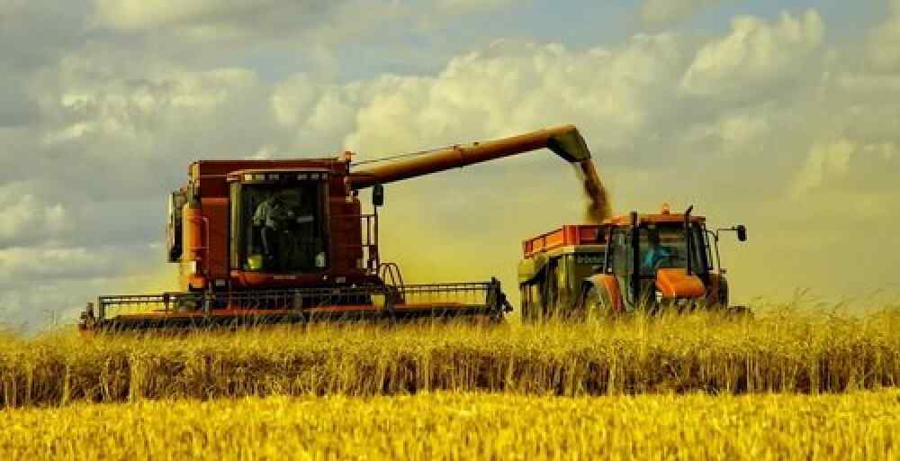 Павлодар облысында 1 млн гектардан астам жерге егін егіледі