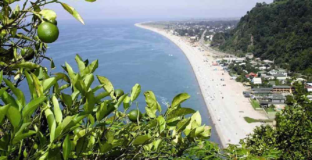 Қазақстандықтар Батумиден жылжымайтын мүлікті көптеп сатып алуда