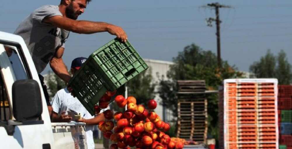 Ресей Еуроодақтың кейбір елдері үшін азық-түлік эмбаргосын алып тастауы мүмкін