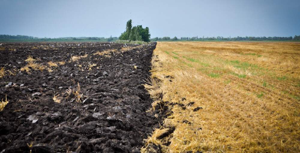 Қ.Өскенбаев: Ауыл шаруашылығы жерлерін жекешелендіру жөніндегі заңнамалық база парламентке күзде енгізіледі