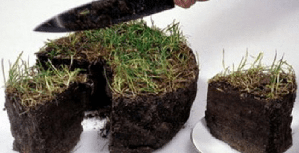 Астанада жекелеген жер телімдері мемлекет меншігіне өтеді