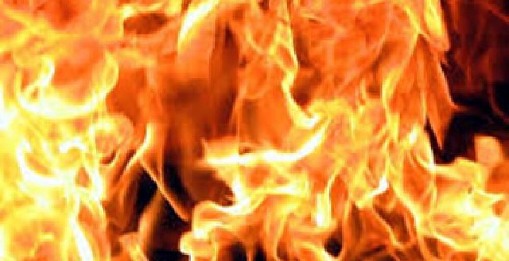 Жыл басынан өрт салдарынан еліміздің орман қорына 6 млн. теңге шығын келді