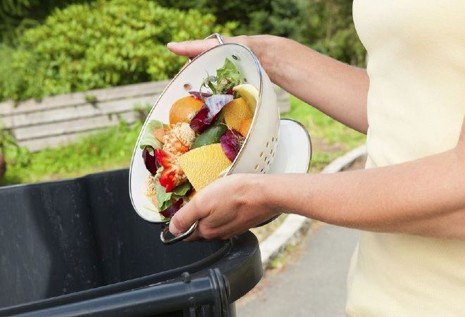 Agency: 1.3 Billion Tons of Food Wasted Each Year