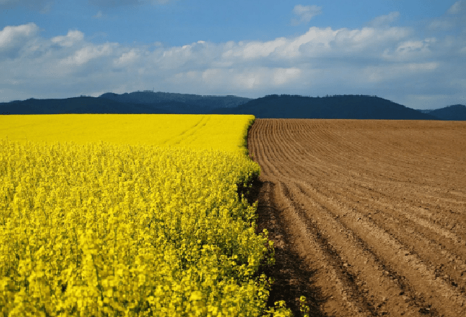 Жер мәселесіне қатысты jerturaly.kz сайты ашылды