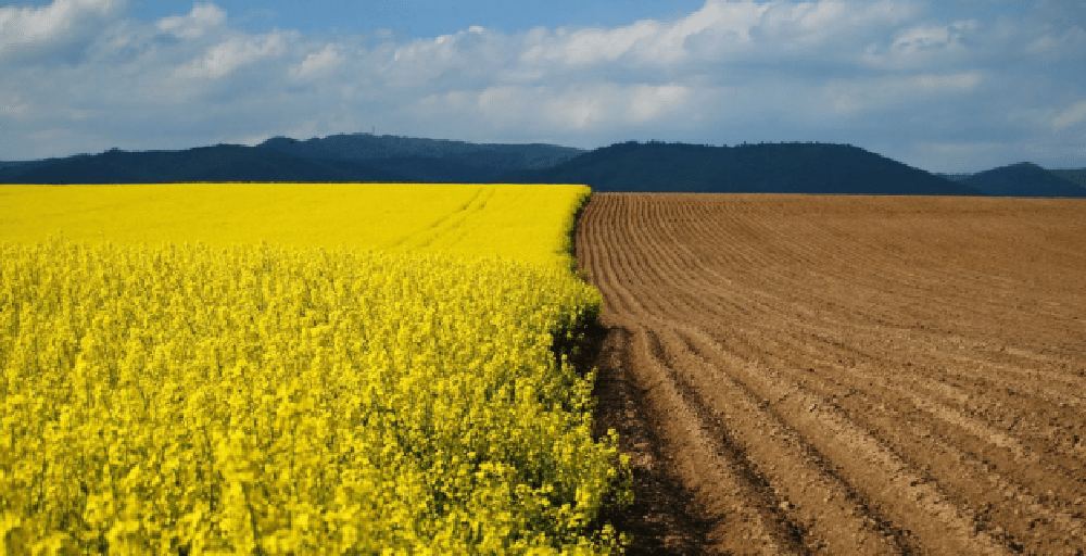 Жер мәселесіне қатысты jerturaly.kz сайты ашылды