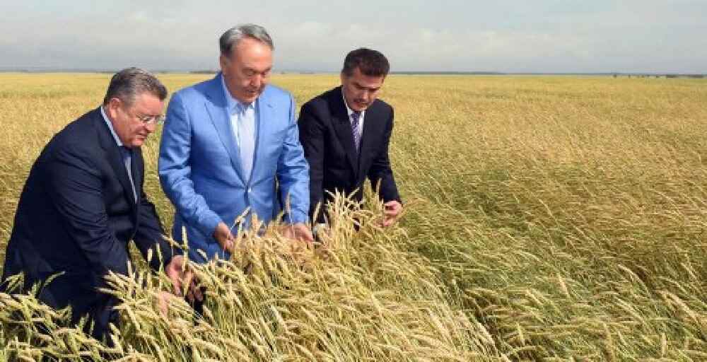 Н.Назарбаев Жер мәселесіне қатысты комиссия құруды тапсырды