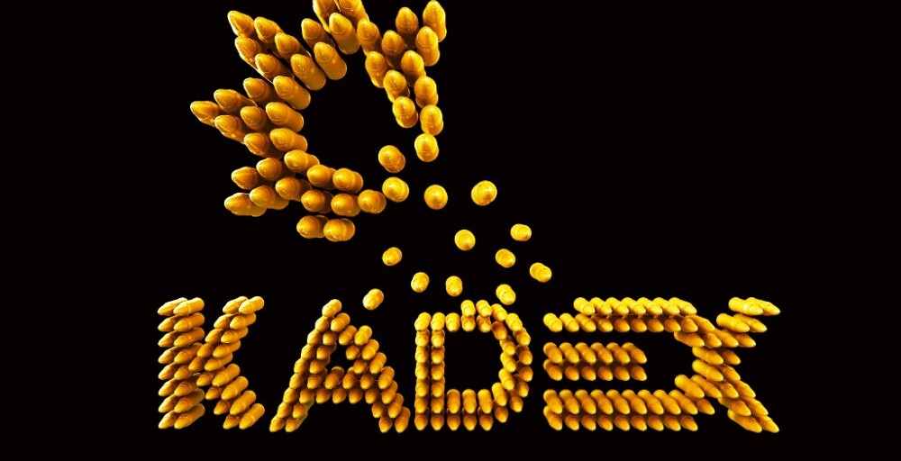 «KADEX-2016»  көрмесінде зымыран-артиллериялық кораблін жеткізу туралы келісім жасалды