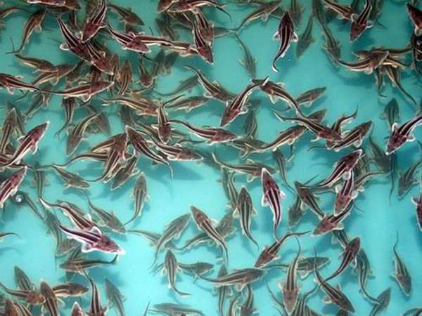 Өзбек әйелімен қарапайым секс