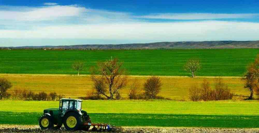 Ауыл шаруашылық өнімдерінің экспорты 1 347,9 долларға жетті