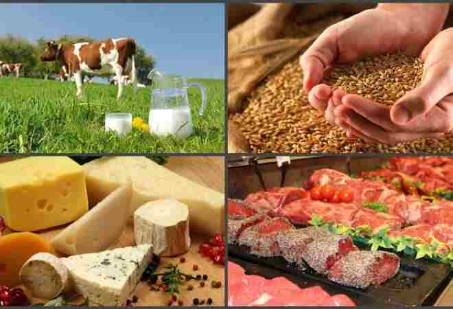 Осень принесла рост на продукцию животноводства 