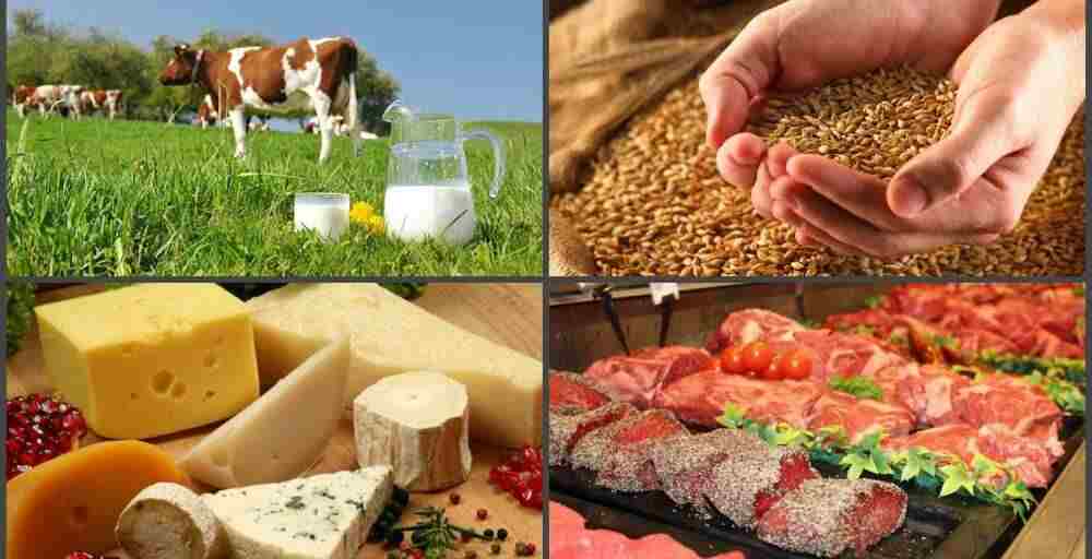 Осень принесла рост на продукцию животноводства 