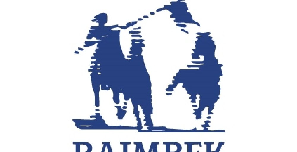 Raimbek Group холдингі туралы