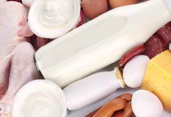 Қазақстан Израильге мал шаруашылығы өнімдерін экспорттауды талқылауда