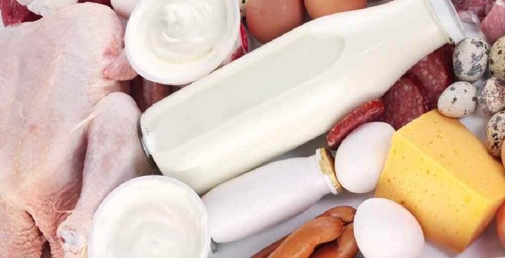 Қазақстан Израильге мал шаруашылығы өнімдерін экспорттауды талқылауда