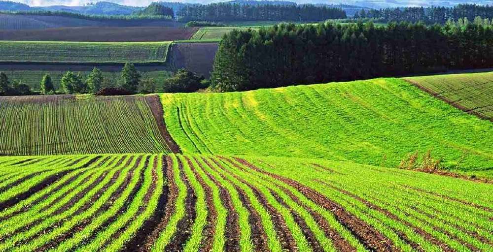 Министр жерді шетелдіктерге сатуға қатысты мәлімдеме жасады