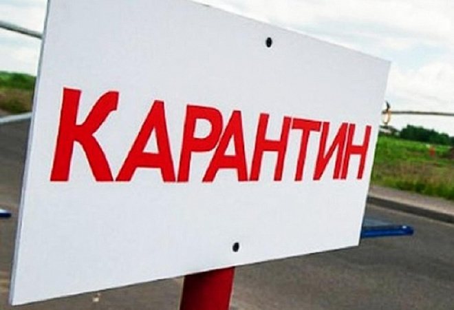 Ақмола облысындағы ауыл сібір жарасы қаупіне байланысты карантинге жабылды