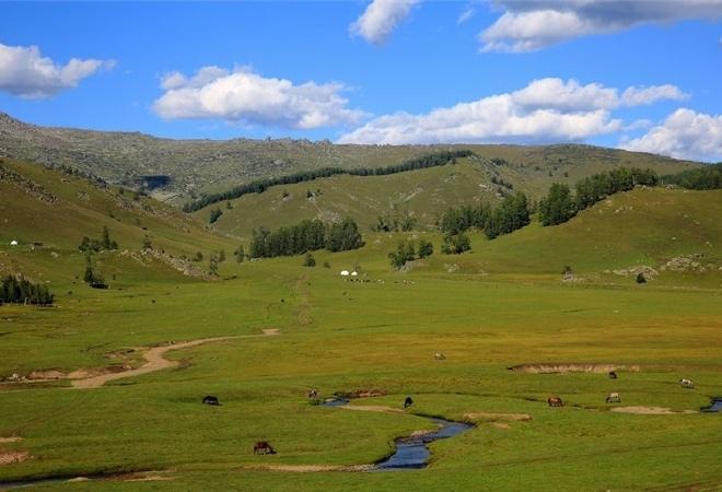 Қазақстанда 109 мың гектар жер мемлекет меншігіне қайтарылды