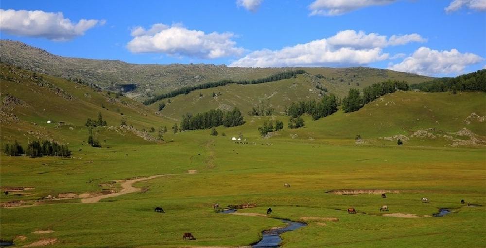 Қазақстанда 109 мың гектар жер мемлекет меншігіне қайтарылды