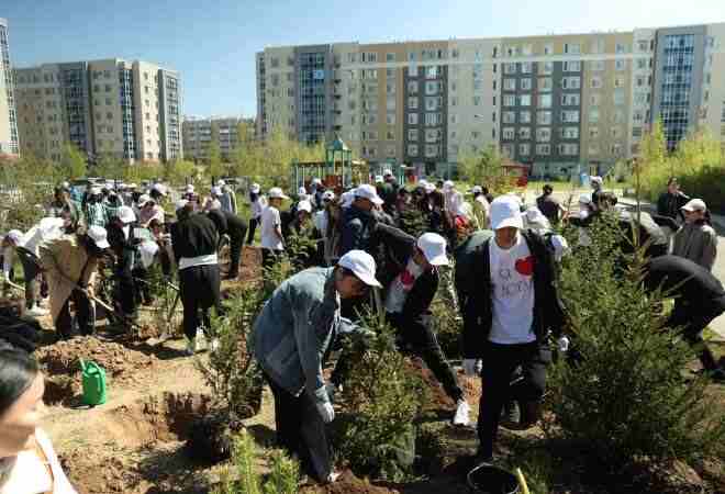 Более 180 тысяч выпускников школ приняли участие в озеленении страны