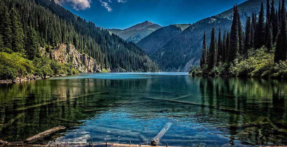 Үлкен жұлдыру аналь