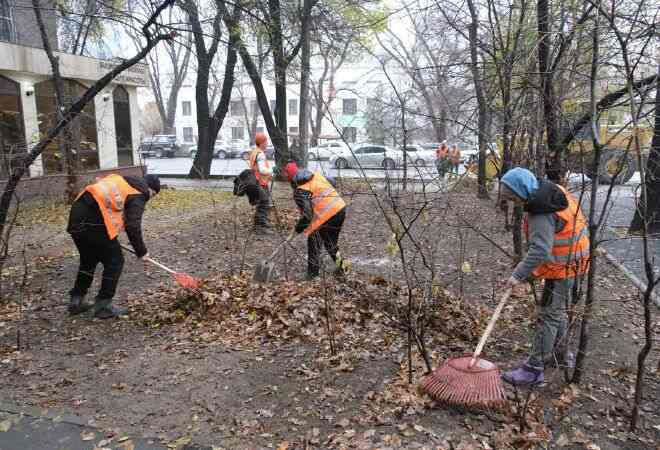 Алматыда «Жарқын күз» науқаны басталады