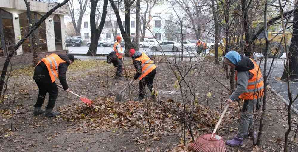 Алматыда «Жарқын күз» науқаны басталады