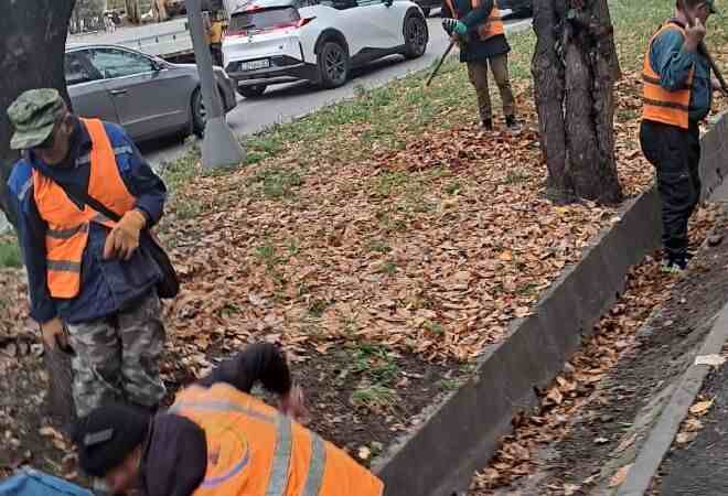 «Таза Қазақстан»: Алматыда «Жарқын күз» науқаны басталды 