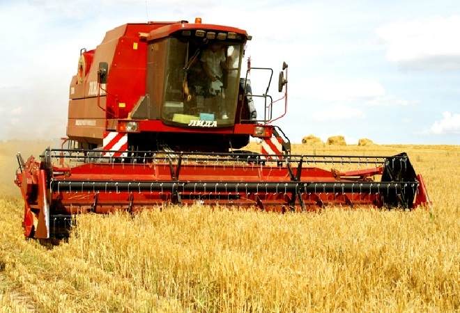 Экспорт зерна из Казахстана резко вырос
