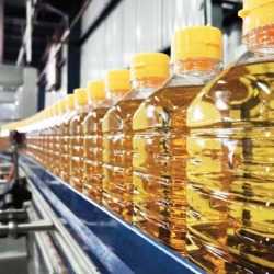 Қазақстанда өсімдік майын өндіру 24%-ға артты
