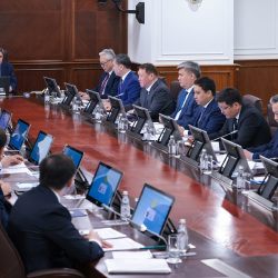 Үкіметте ірі өнеркәсіп жобаларын жүзеге асыру бойынша кеңес өткізді