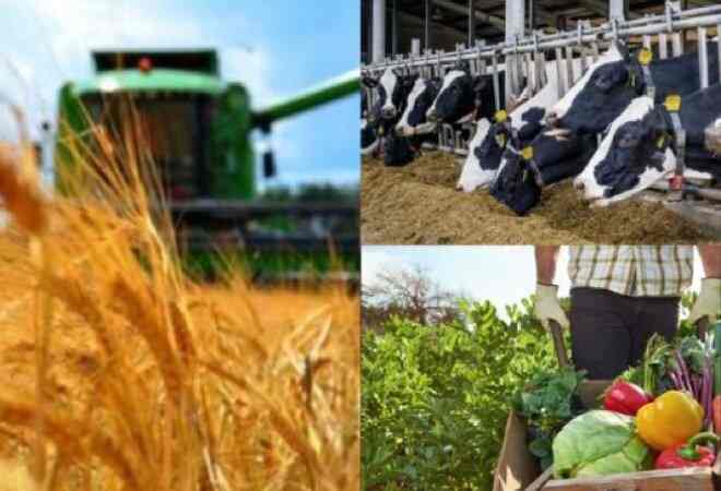 Ауыл шаруашылығы санағын өткізуге 3,7 млрд теңге қаржы жұмсалады   