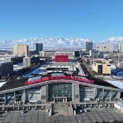 «Хоргос» может стать главными воротами Центральной Азии — Президент РК