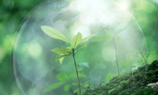 6 новых природоохранных учреждений создадут в Казахстане