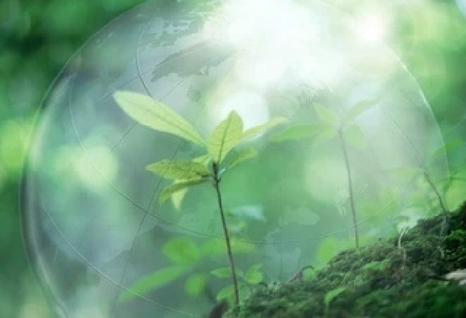 6 новых природоохранных учреждений создадут в Казахстане