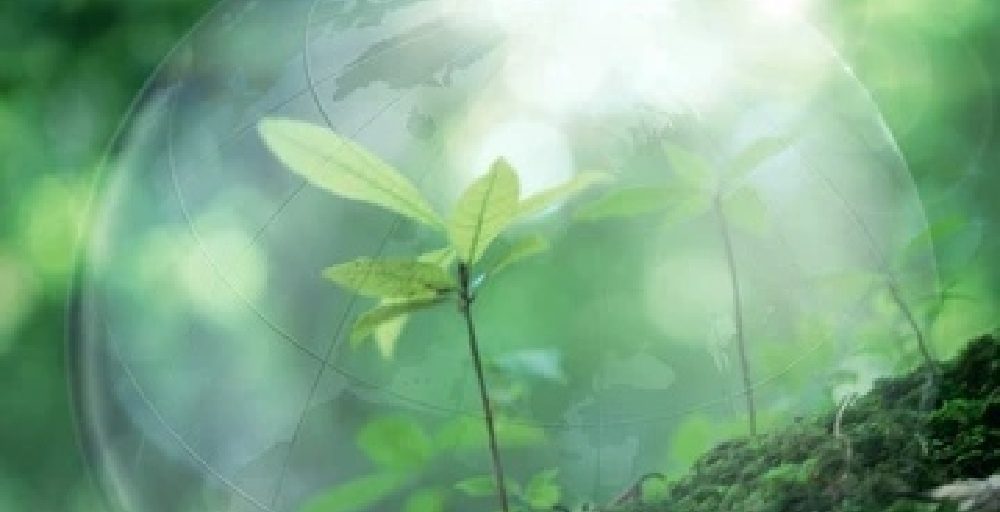 6 новых природоохранных учреждений создадут в Казахстане