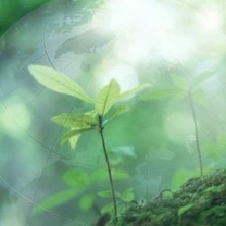6 новых природоохранных учреждений создадут в Казахстане