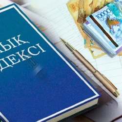 Сапалы инвестиция әкелетін инвесторларға салықтық жеңілдіктер берілмек  