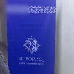 «Uili bolayik» пирамидасы 515 салымшыны сан соқтырды