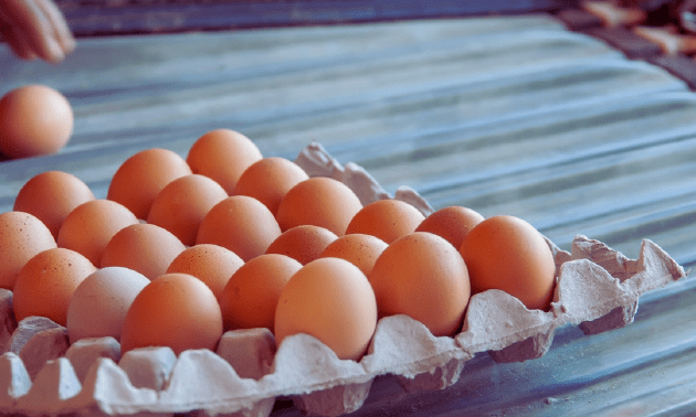 Производство продуктов питания в Казахстане выросло за полугодие на 10%