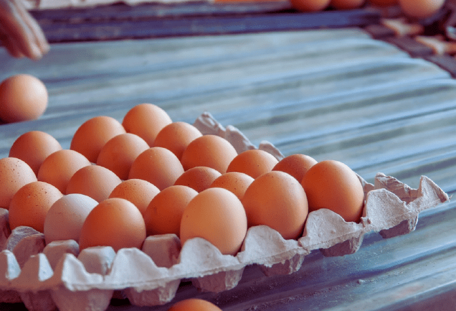 Производство продуктов питания в Казахстане выросло за полугодие на 10%