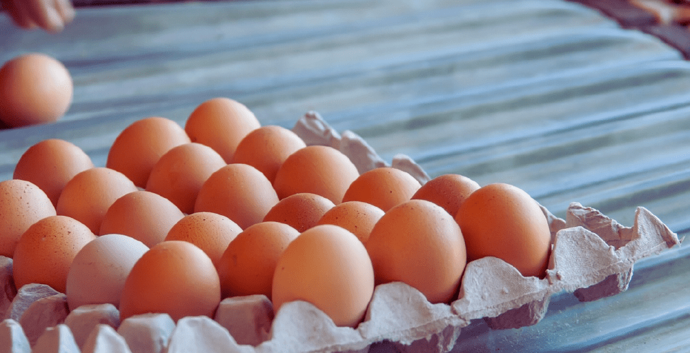 Производство продуктов питания в Казахстане выросло за полугодие на 10%