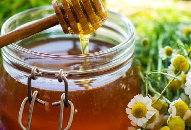 Алғашқы 20 тонна қазақ балы Венгрияға жөнелтіледі