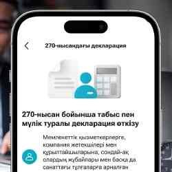 270 декларацияны Kaspi.kz суперқосымшасында тапсыруға болады