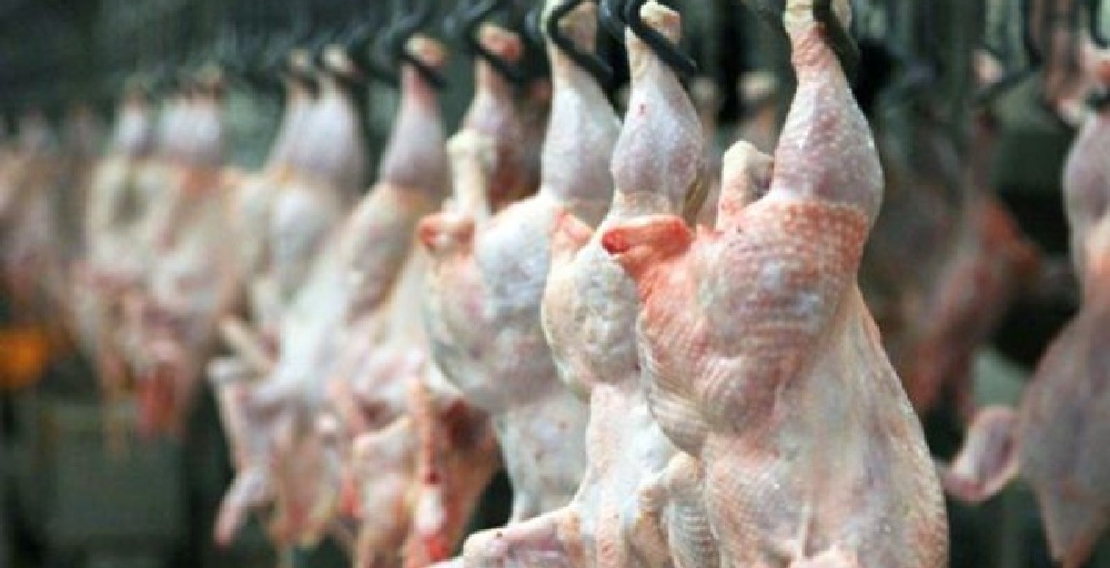 Құс еті өндірісі артып келеді: 2027 жылы импорт қажет болмайды