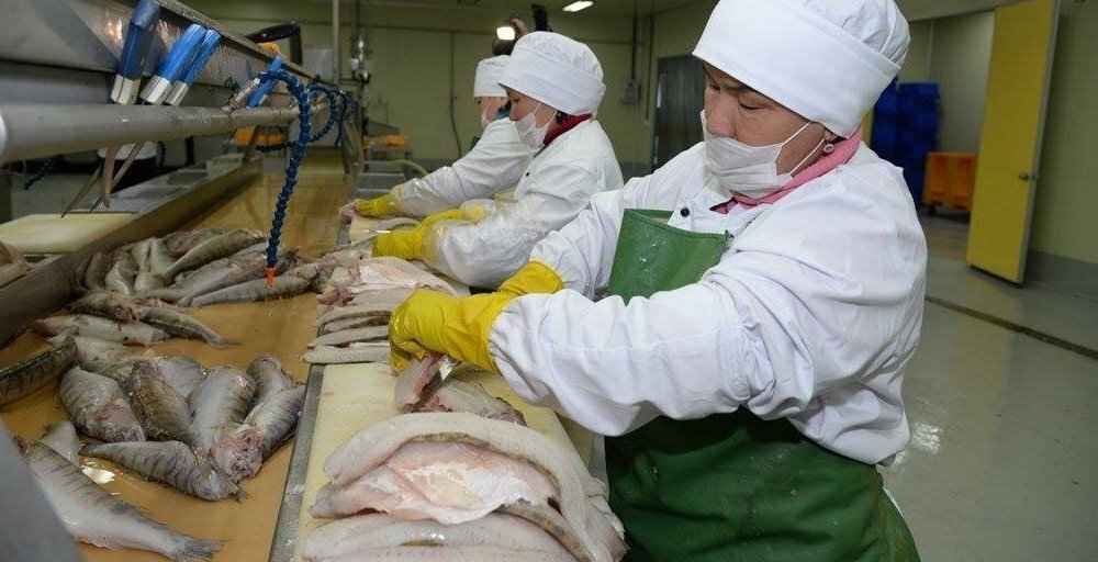 Арал өңірінде жаңа зауыт іске қосылды