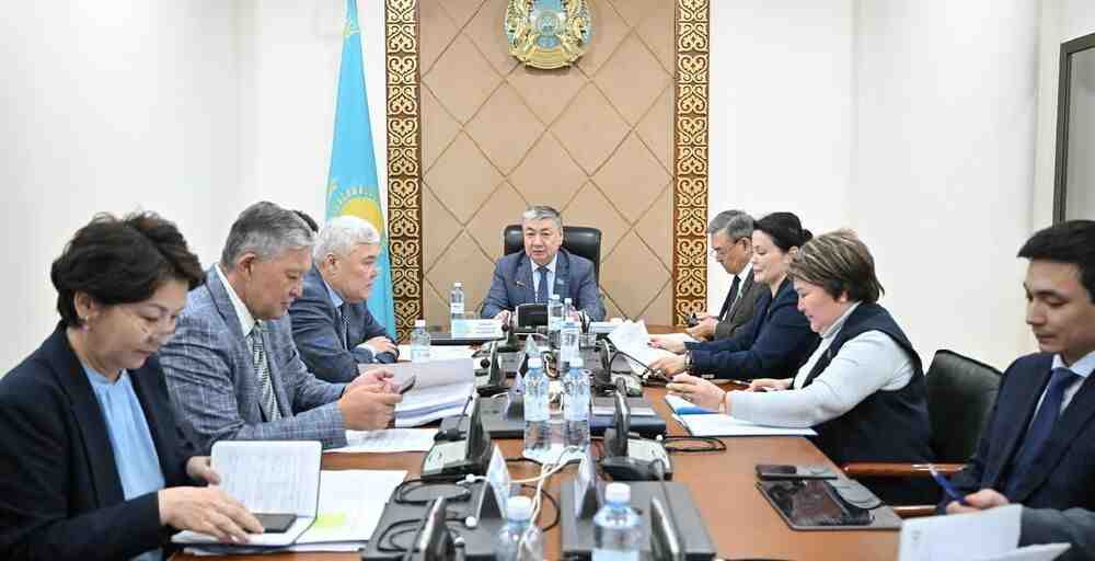 Сенат ЖИ туралы заңды мәжіліске кері қайтарды
