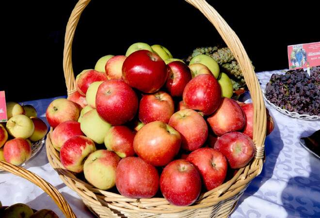 Шаруа қожалықтары жеке табыс салығын 70%-ға дейін азайта алады