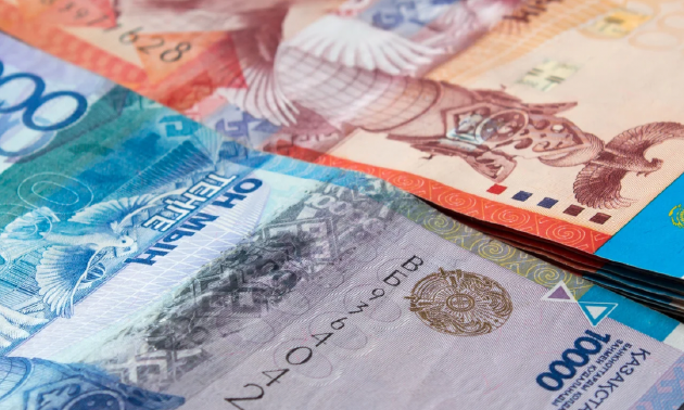 Свой бизнес: около 9 тысяч казахстанцев получили гранты