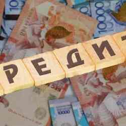 Салық органдары енді микрокаржы ұйымдарындағы берешек деректерін алады